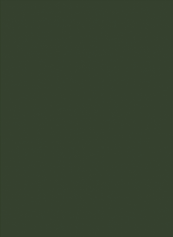 Wandpaneel | Effen kleur | Groen