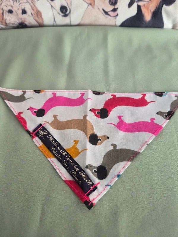 Everyday Wear Bandana's