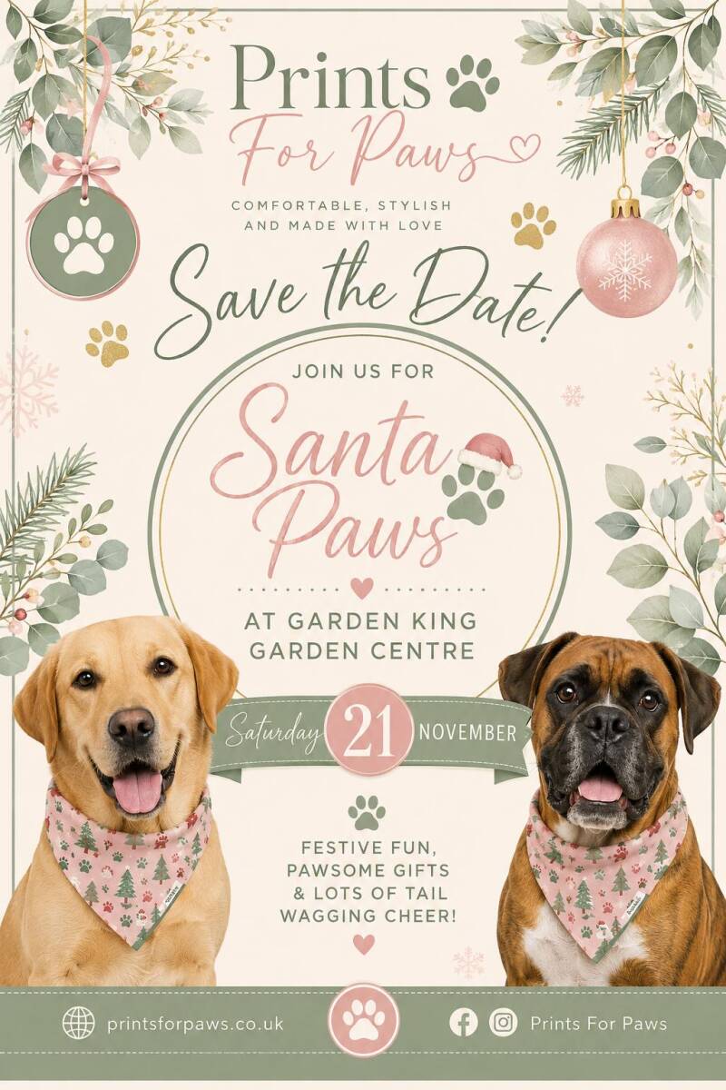 santa-paws-21-11-standard-4idoi1.jpg