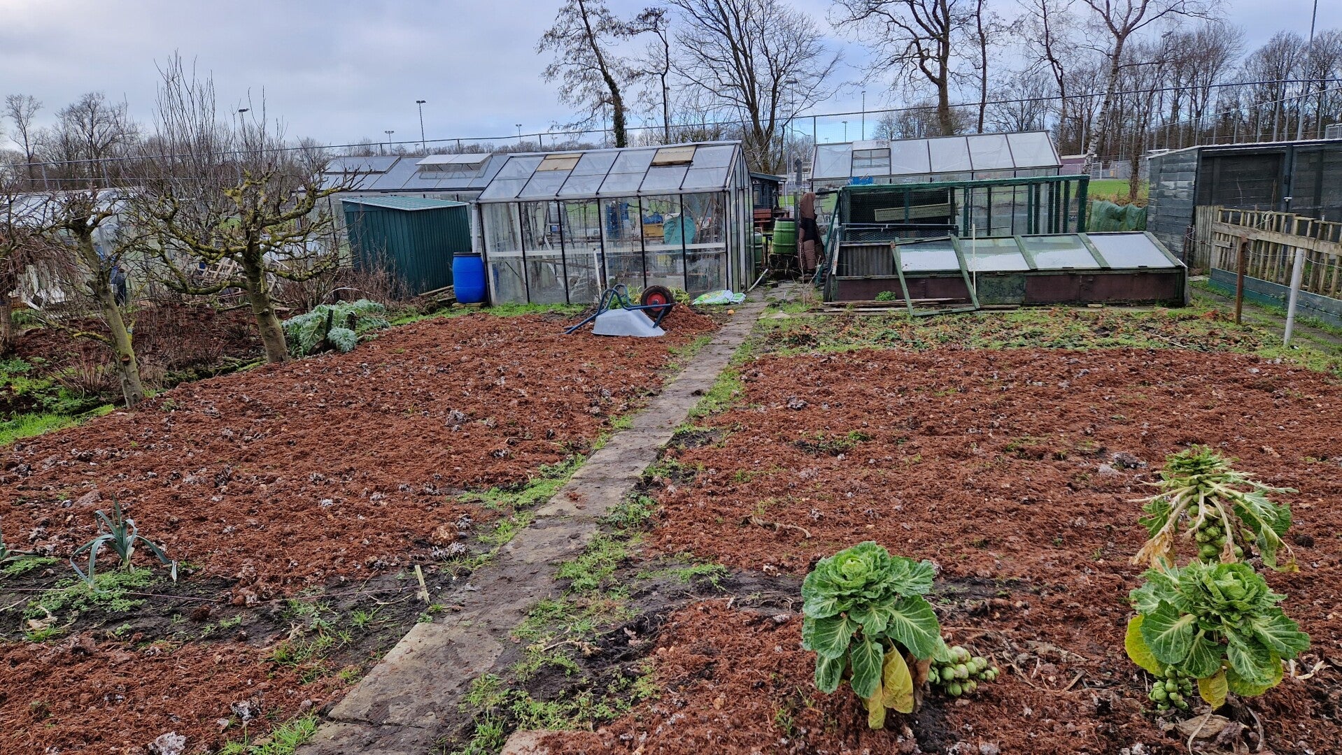 moestuin in de herfst met mest. Mijn moestuin, beginnen van een moestuin