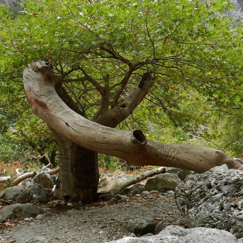 AgiaIrini-Schlucht-Wandern-Kreta1.jpg