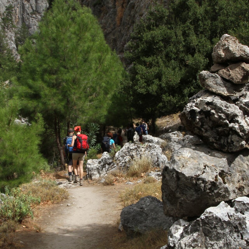 AgiaIriniGorge-green-Hiking-Crete-1.jpg