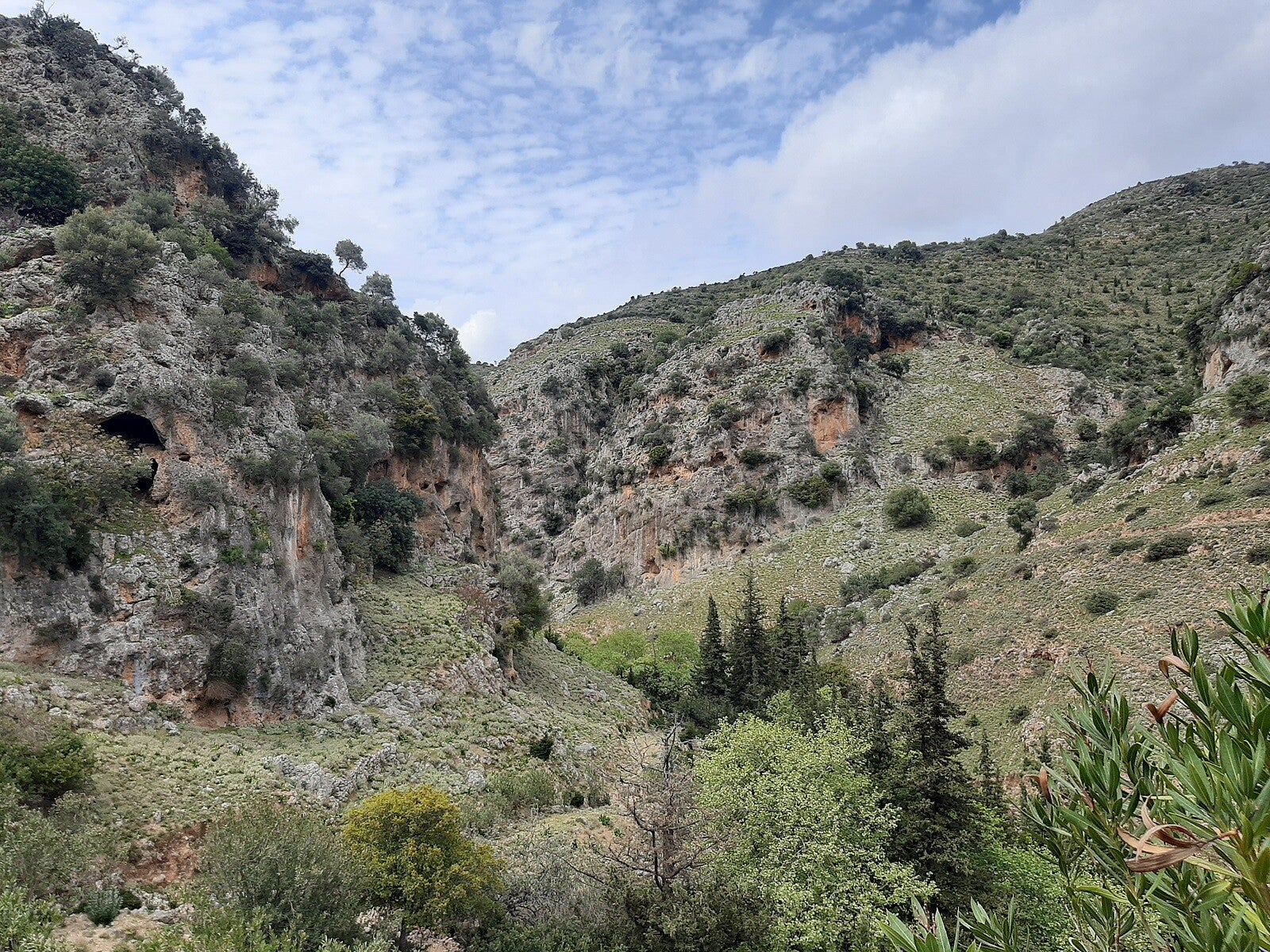 KyklaminoSchlucht-Chania-Wandern-Kreta13.jpg