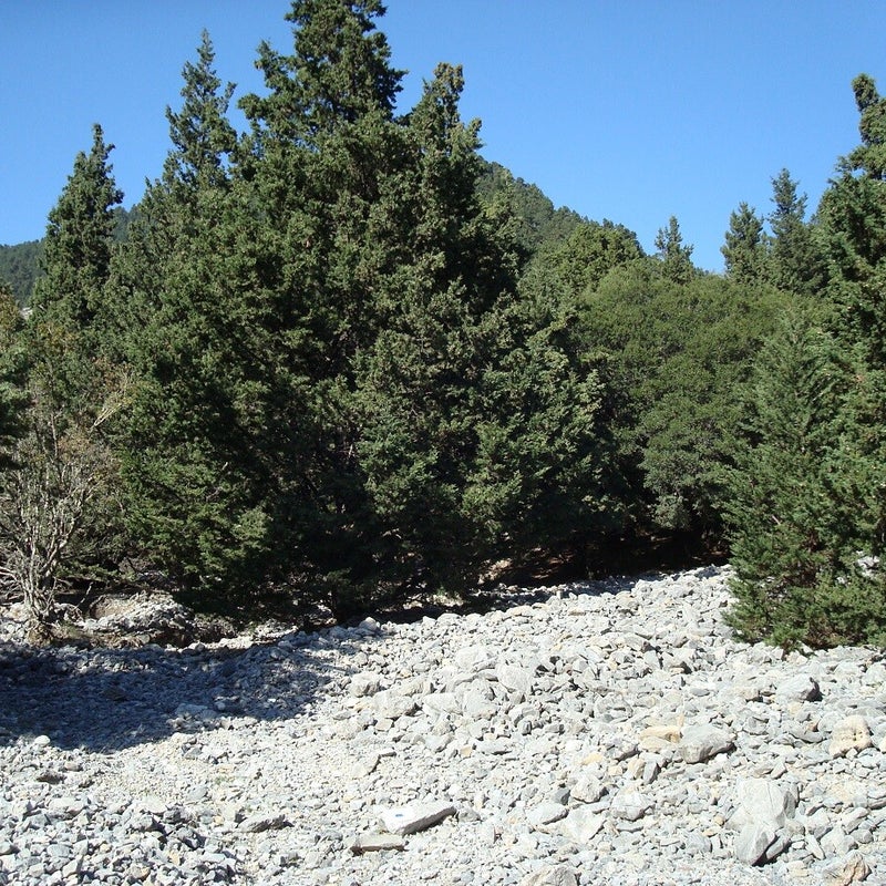 Sfakiano-Schlucht-Wandern-Chania-Kreta12.jpg