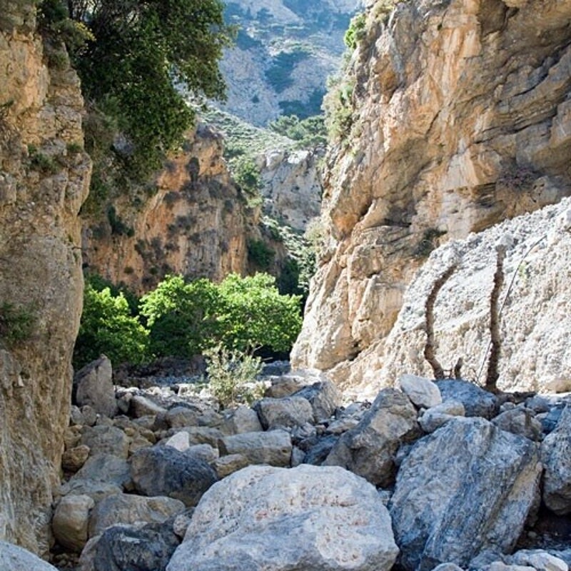 Rouvas-Schlucht-Wandern-Kreta9-1.jpg