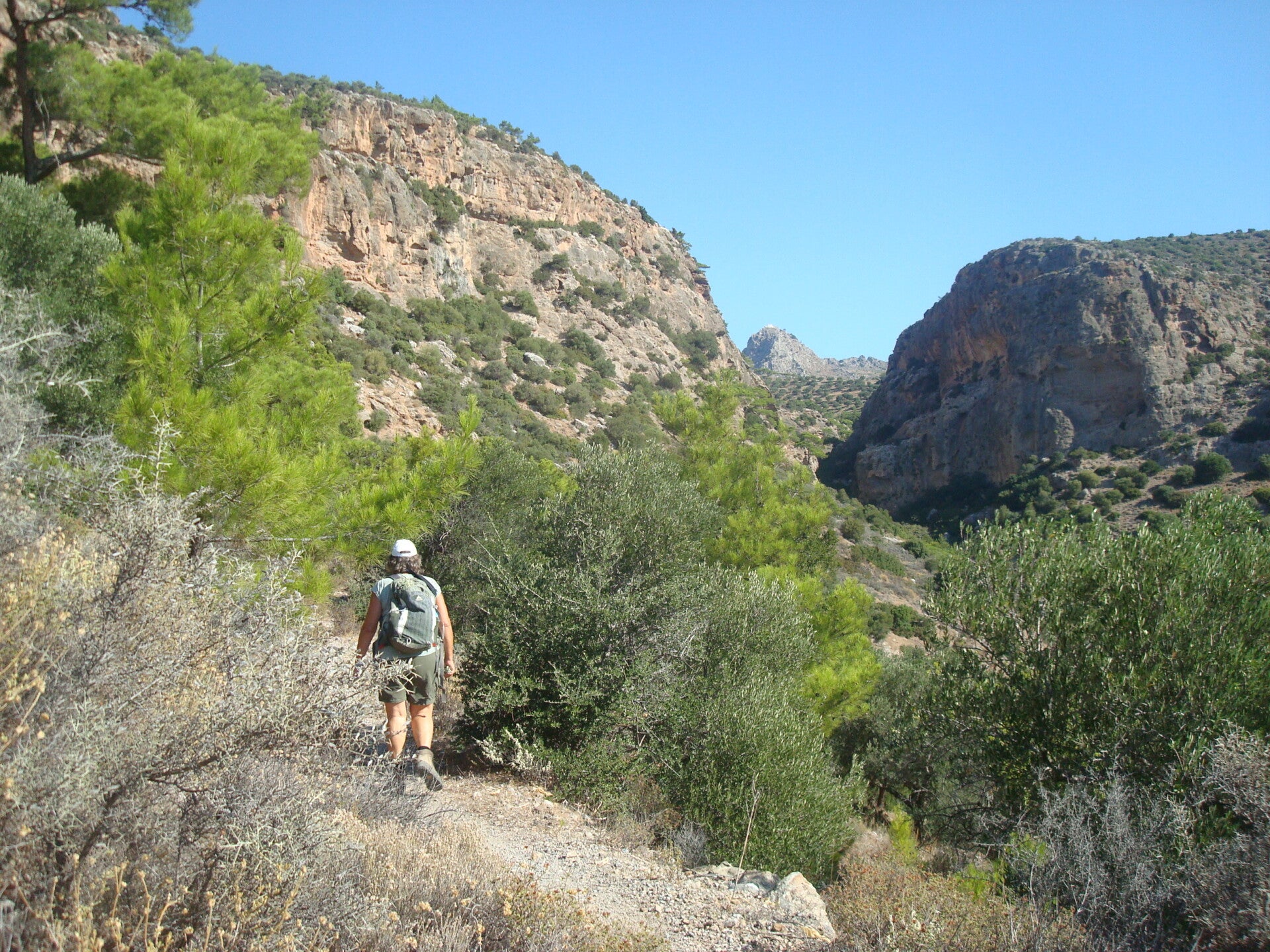 PefkiGorge-Hiking-Crete18.jpg