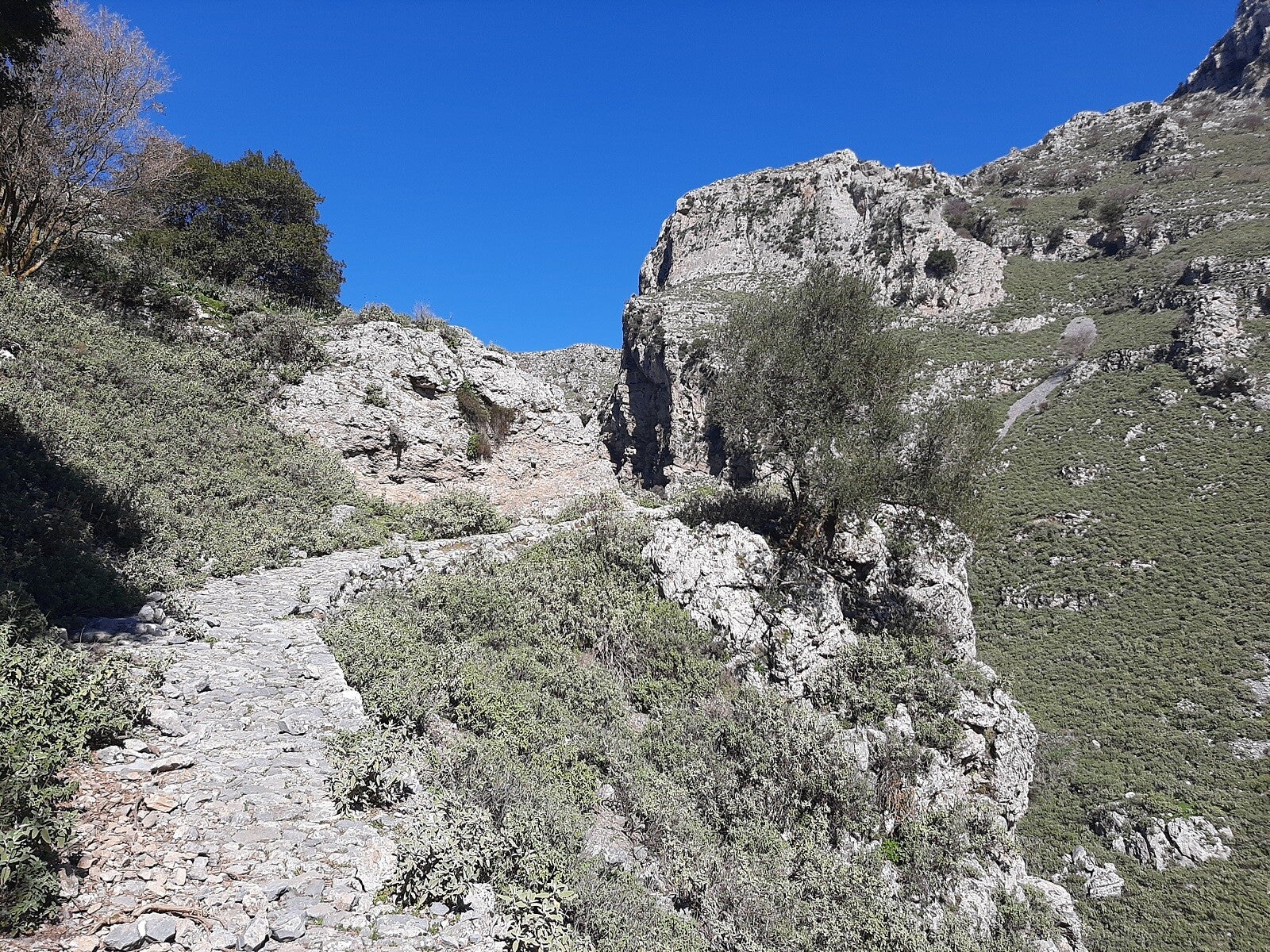 Asfendos-Schlucht-Wandern-Kreta10.jpg
