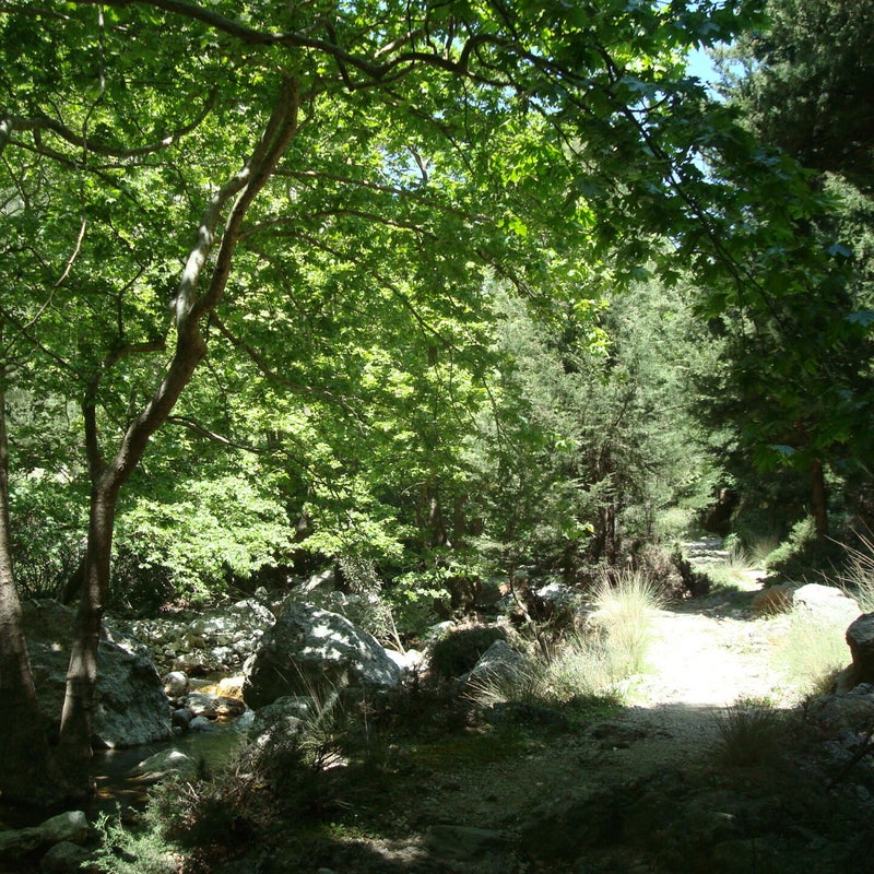 AgiaIrini-Gorge-planetrees-hiking-Crete.jpg