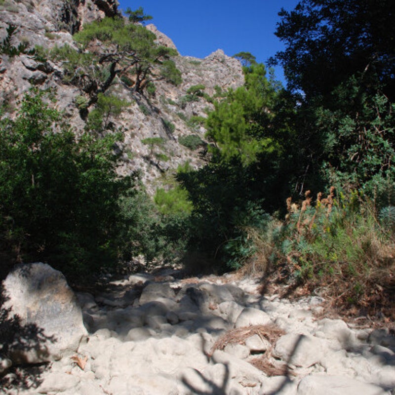 Koutsouras-Vlinder-Kloof-wandelen-Kreta4-2.jpg