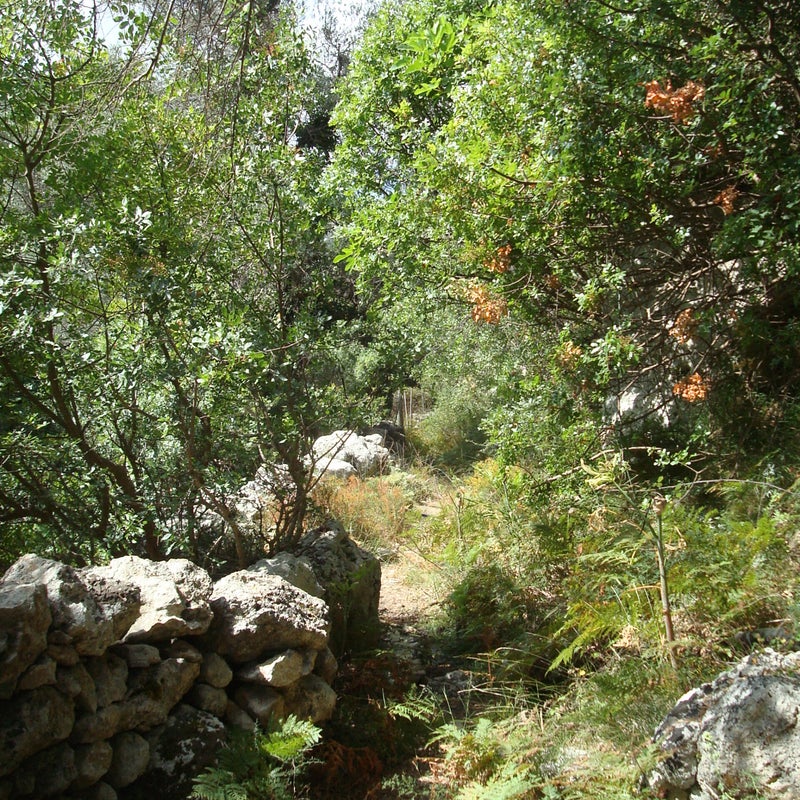 KatoPorosGorge-RethymnoCrete2.jpg