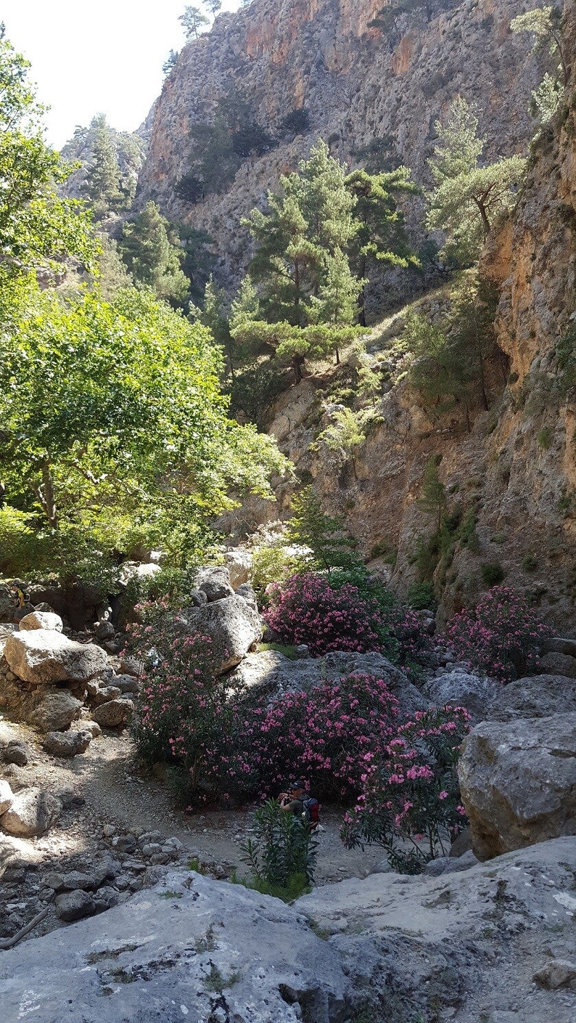 AgiaIrini-Schlucht-Wandern-Kreta3.jpg