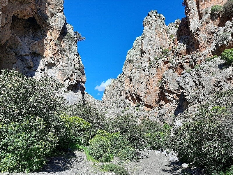 Trachoulas-kloof-Asterousia-Wandelen-Kreta17-1.jpg