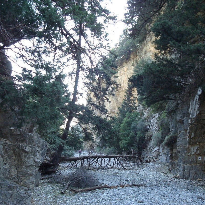 Sfakiano-Schlucht-Wandern-Chania-Kreta20.jpg