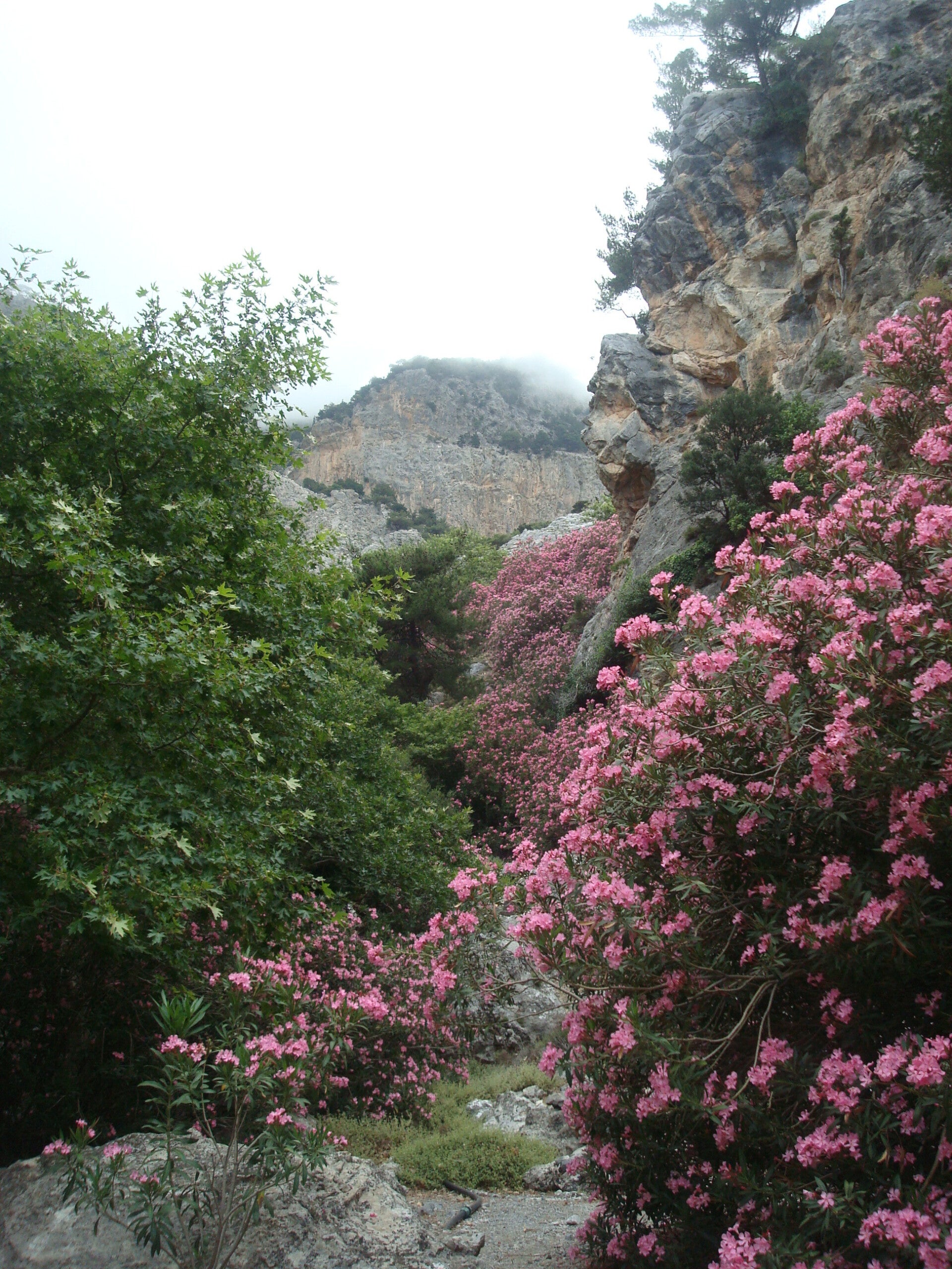 Rouvas-Schlucht-Wandern-Kreta14.jpg