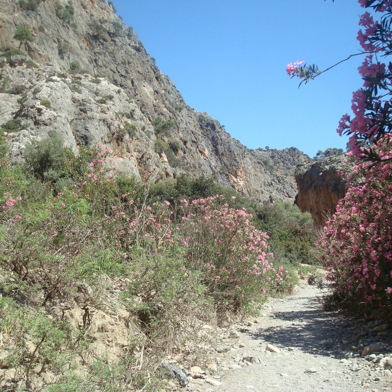AgiofaragoGorge-Hiking-Crete11.jpg
