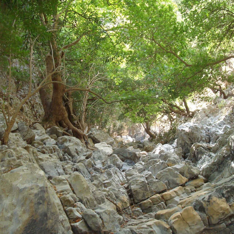 KatoPorosGorge-RethymnoCrete4.jpg