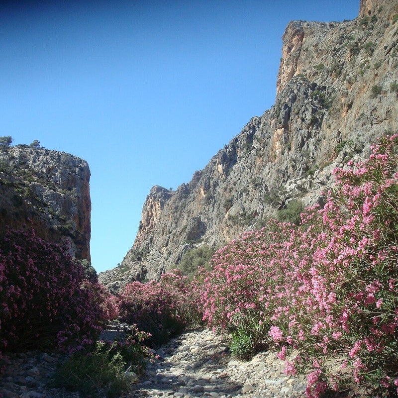 Agiofarago-kloof-Wandelen-Kreta18.jpg