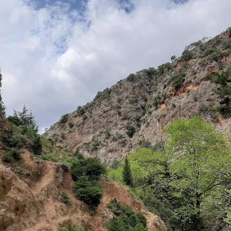 KyklaminoGorge-Chania-Hiking-Crete15.jpg