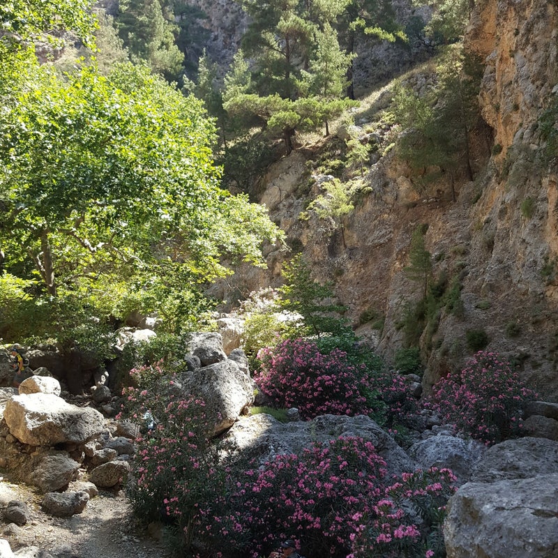 AgiaIrini-Gorge-stonesandoleander-hiking-Crete.jpg