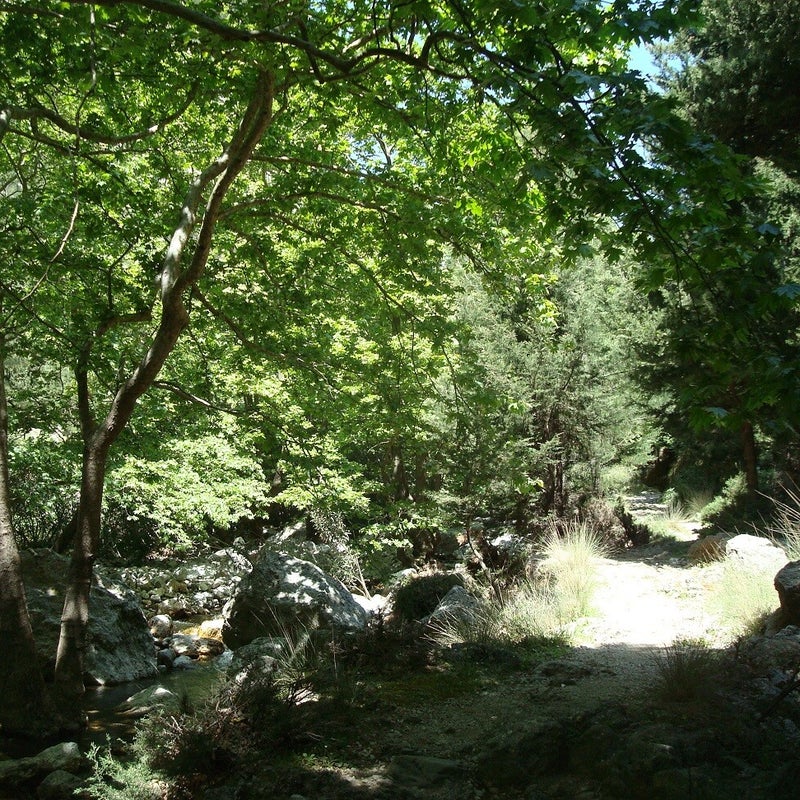 AgiaIrini-Schlucht-Wandern-Kreta21.jpg