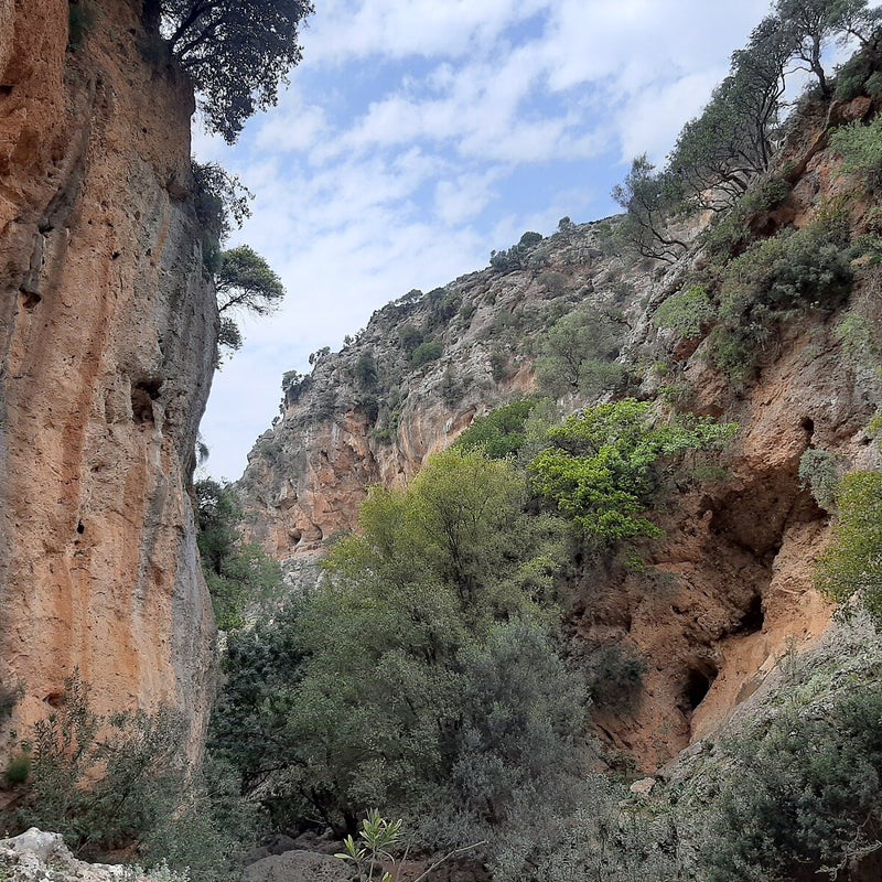 KyklaminoGorge-Chania-Hiking-Crete11-1.jpg