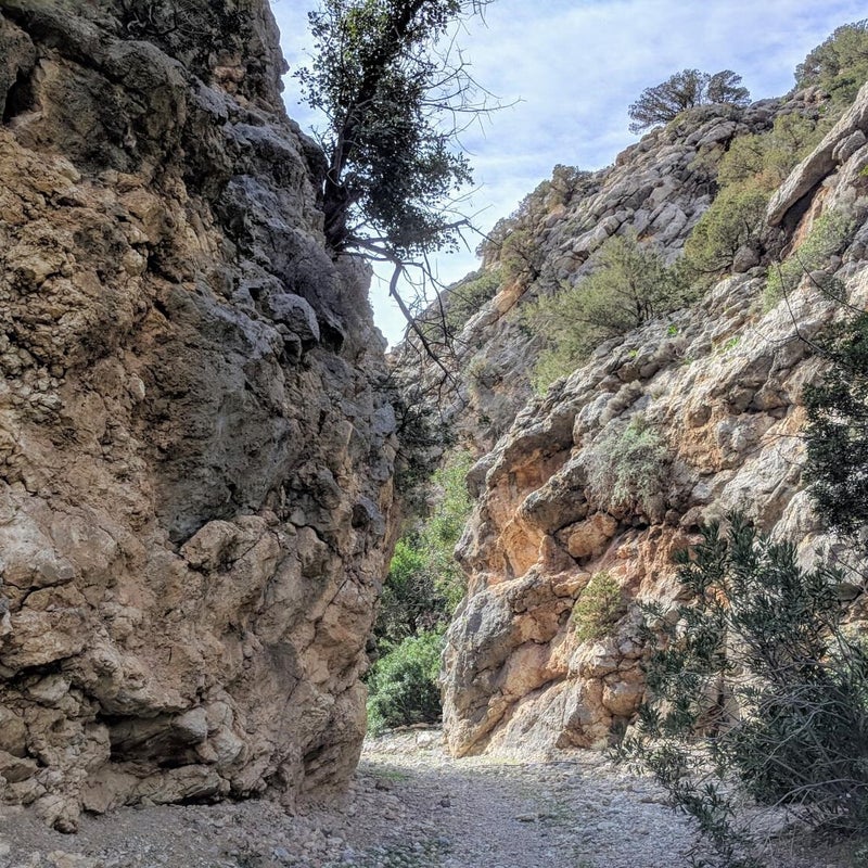 Anidri-Schlucht-Wandern-Kreta5-1.jpg
