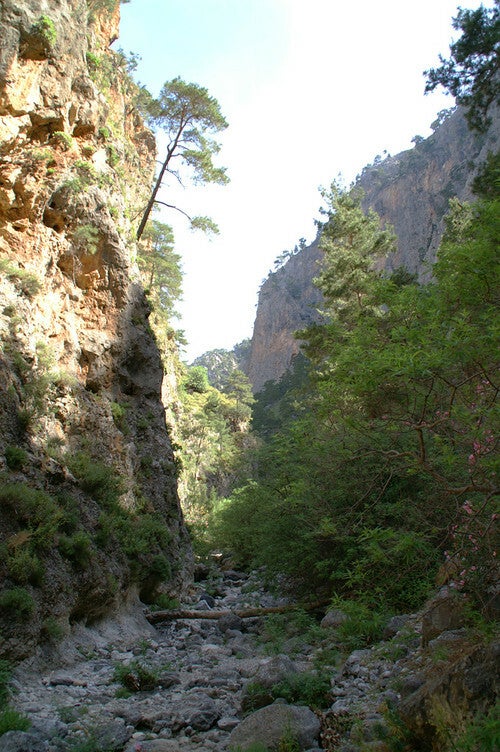 AgiaIrini-Schlucht-Wandern-Kreta16.jpg