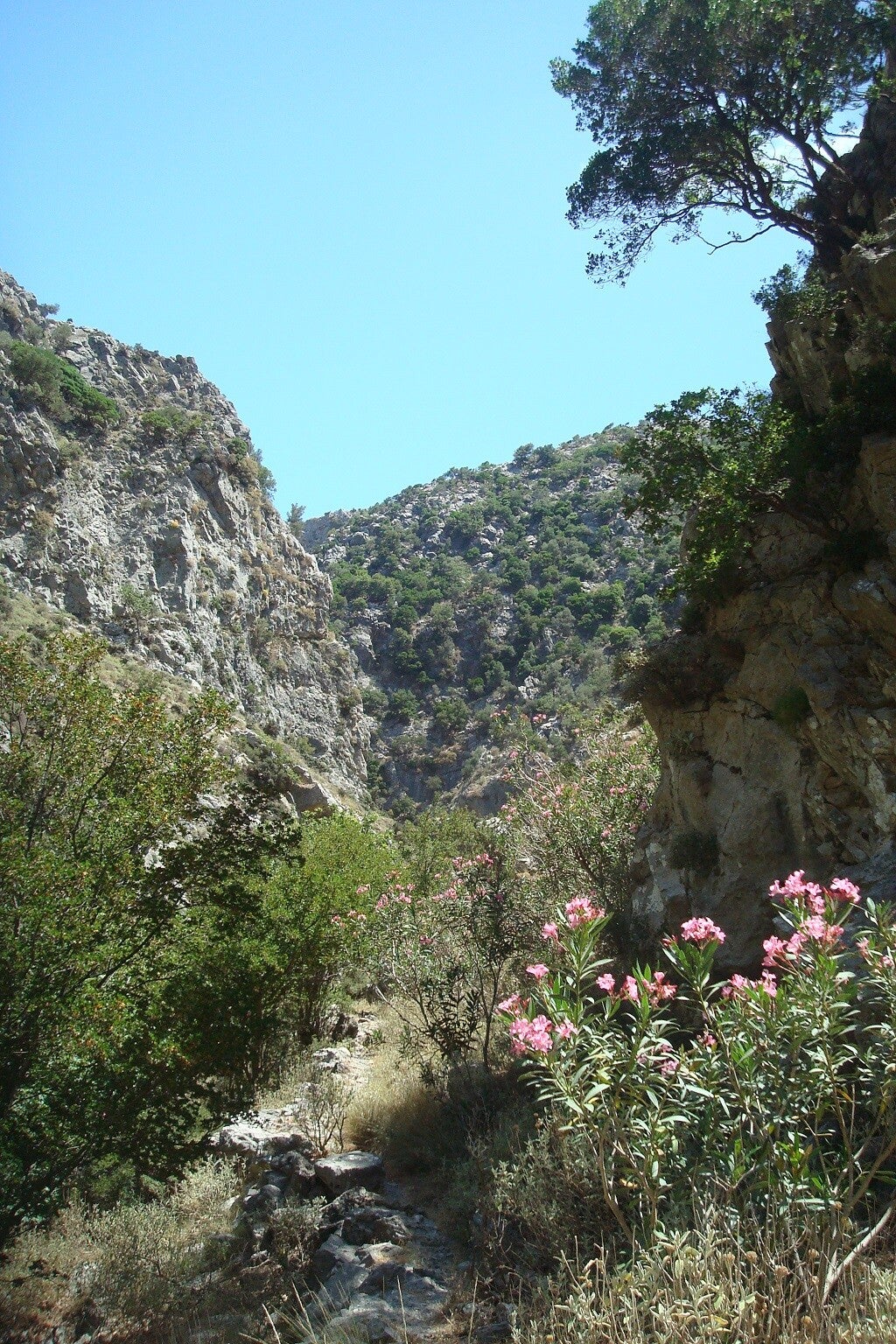 Moundros-Schlucht-Wandern-Rethymno-Kreta10-1.jpg