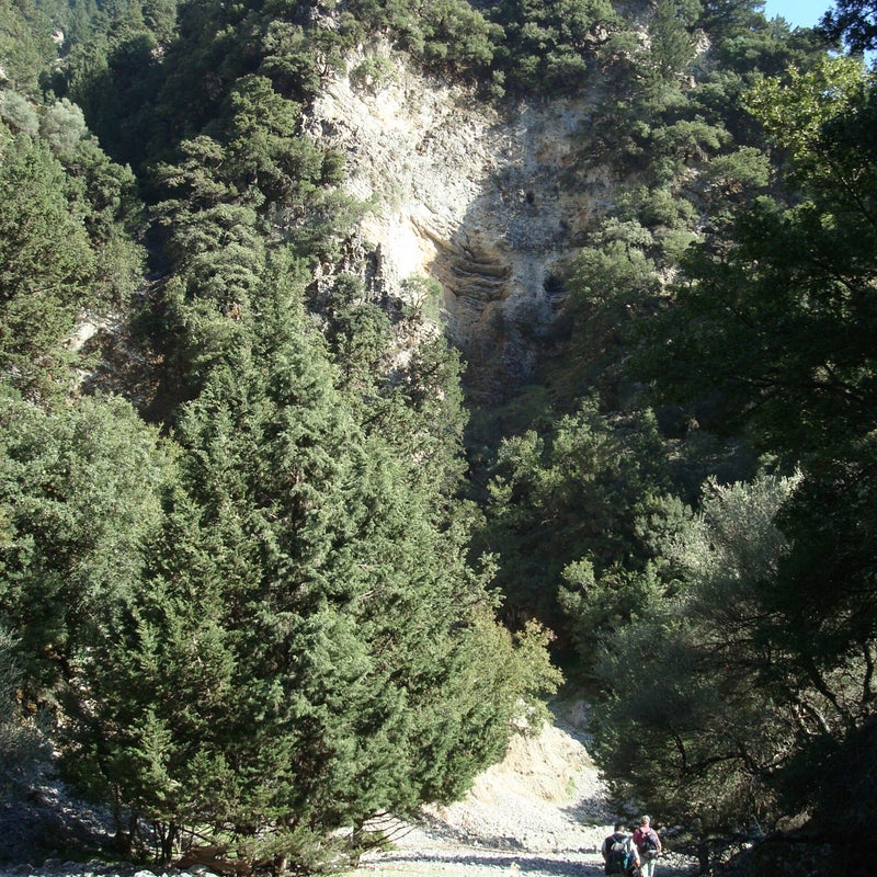 Sfakiano-Gorge-Hiking-Chania-Crete17-1.jpg