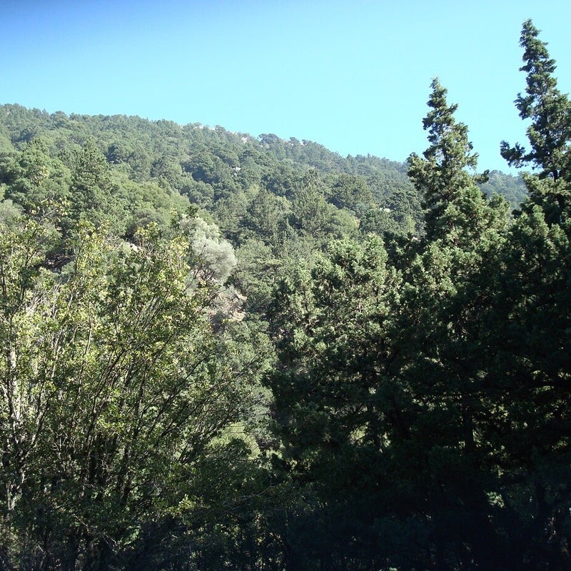 Sfakiano-Schlucht-Wandern-Chania-Kreta15.jpg