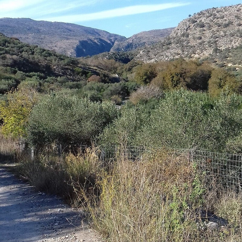 Diktamos-kloof-wandelen-Kreta10.jpg