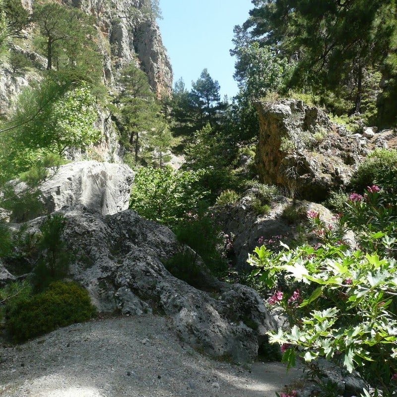 AgiaIrini-Schlucht-Wandern-Kreta17.jpg