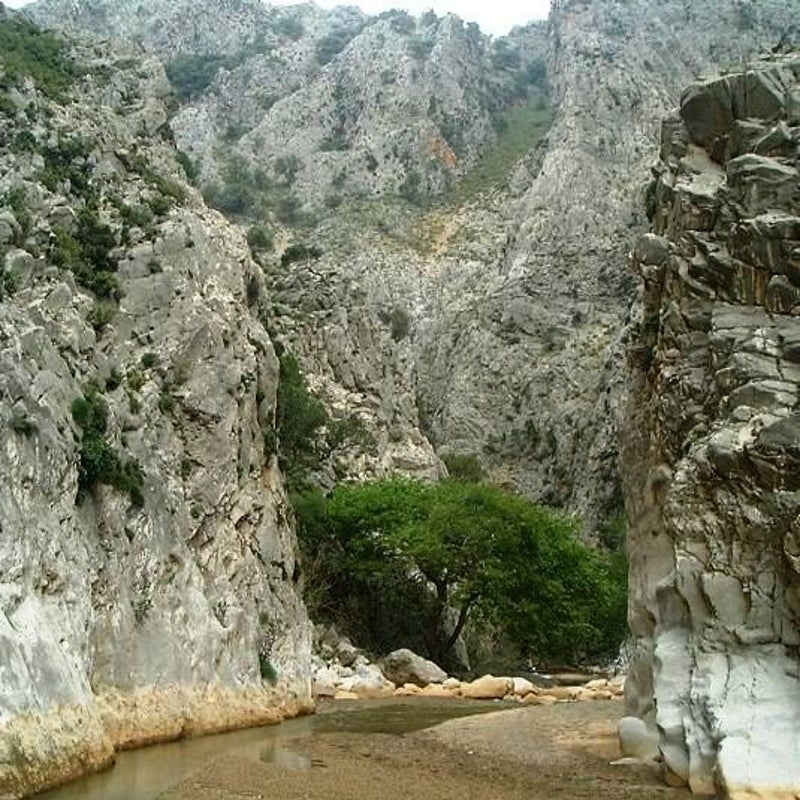 Prassano-kloof-Wandelen-Kreta9.jpg
