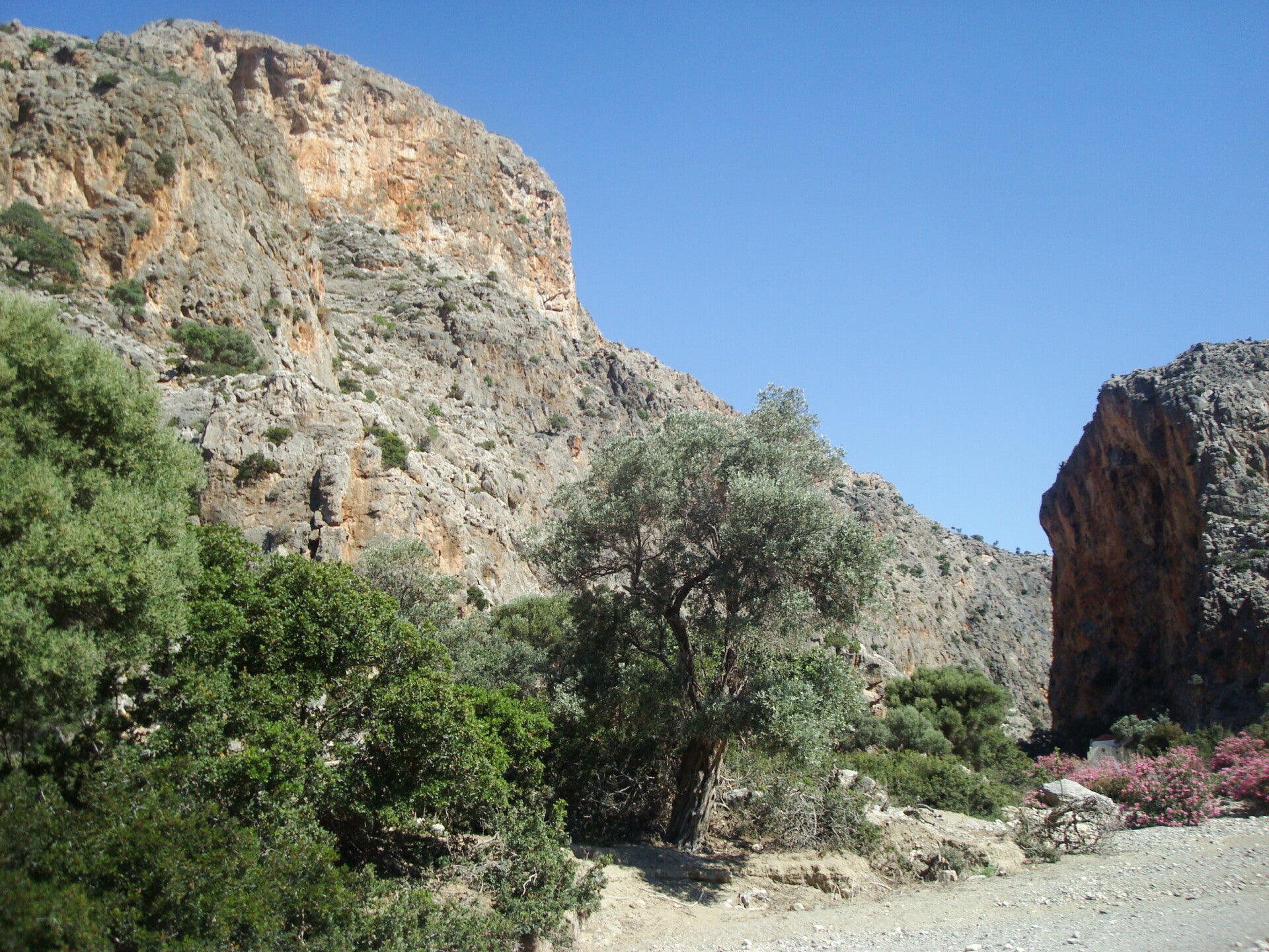 AgiofaragoGorge-Hiking-Crete3.jpg