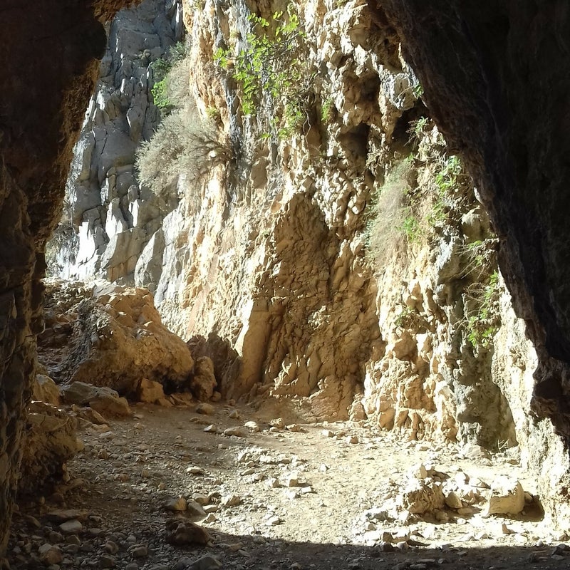 Imbros-Schlucht-Wandern-Kreta9.jpg
