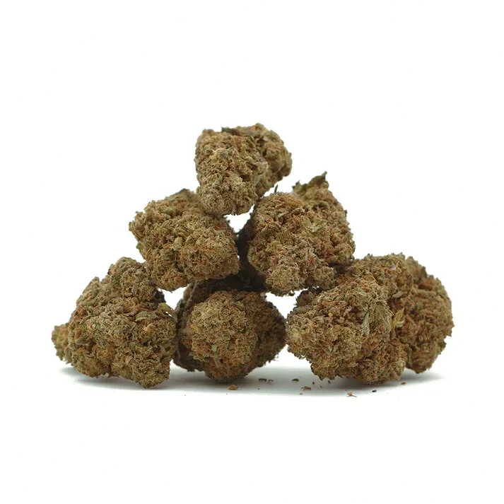 Jack Herer CBD  [Sous-serre]