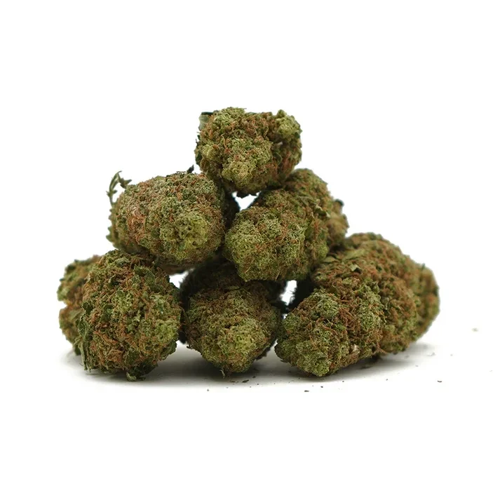 White Widow CBD  [Intérieur]