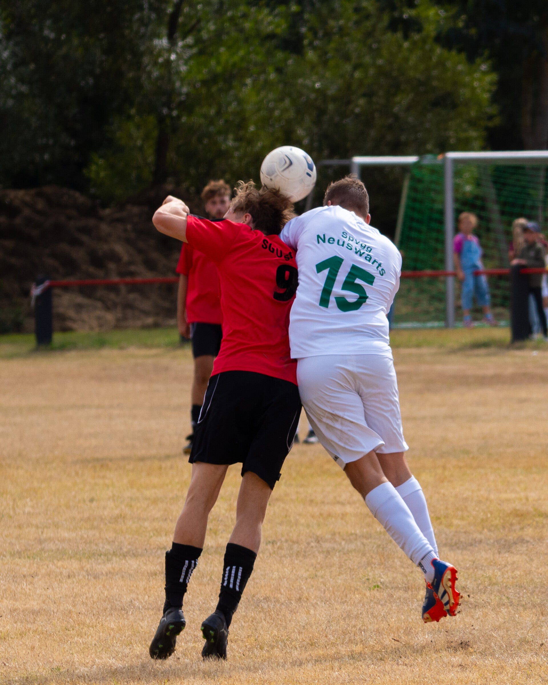 _dsc2607-standard.jpg