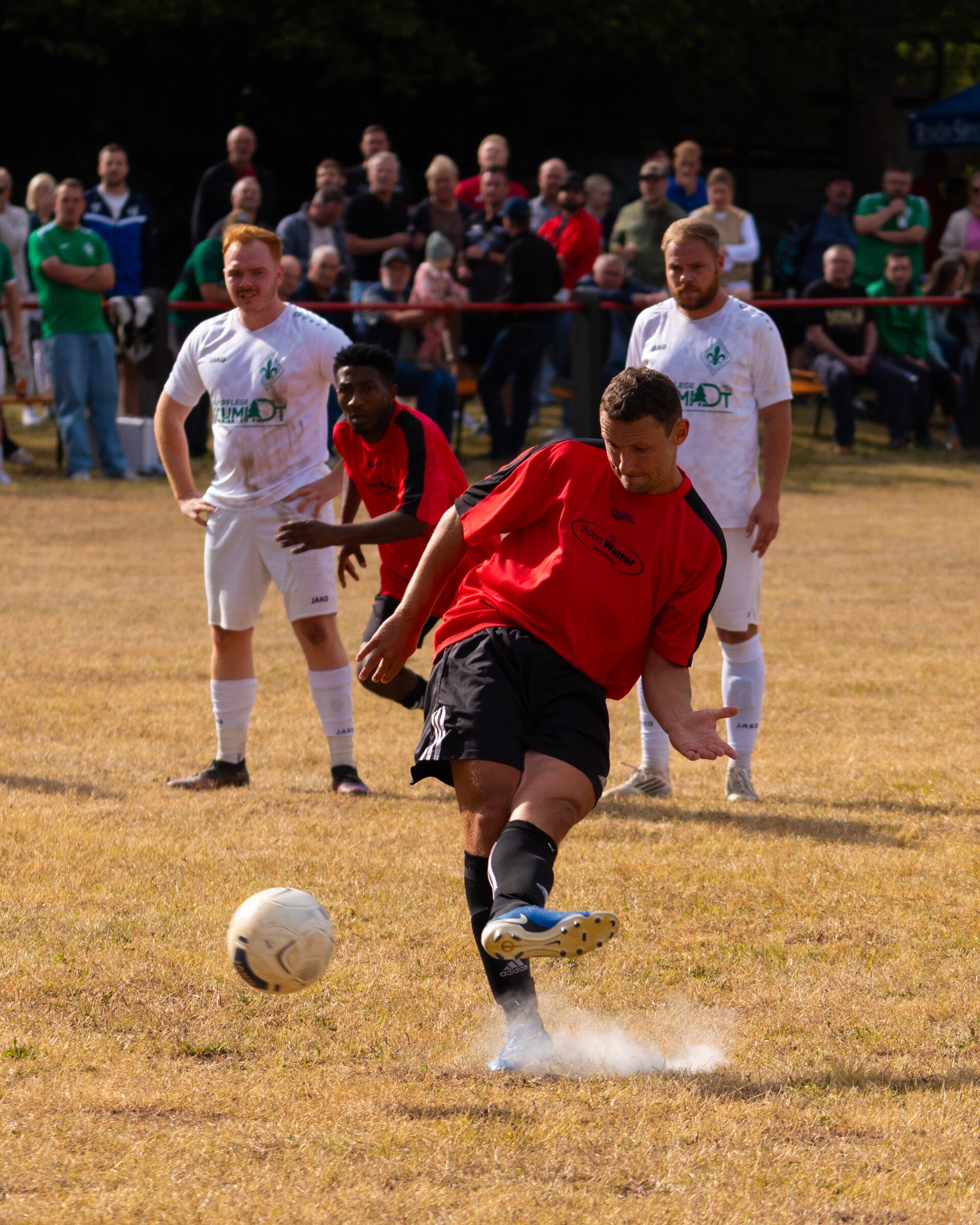 _dsc2715-standard.jpg