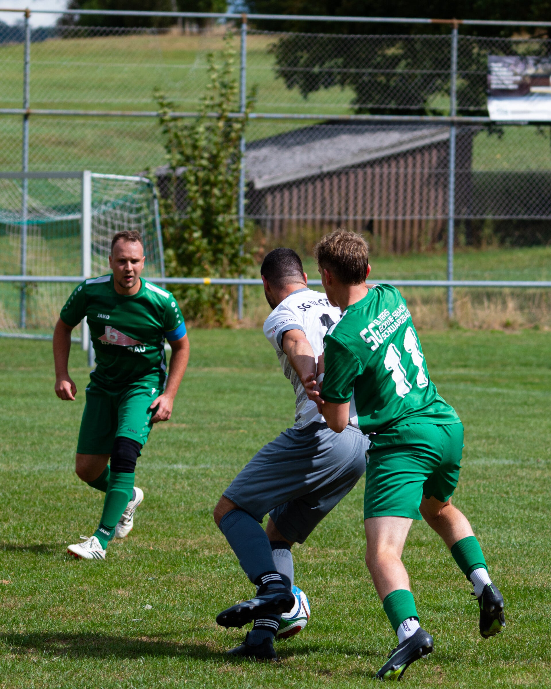 _dsc2765-standard-nzjwkt.jpg