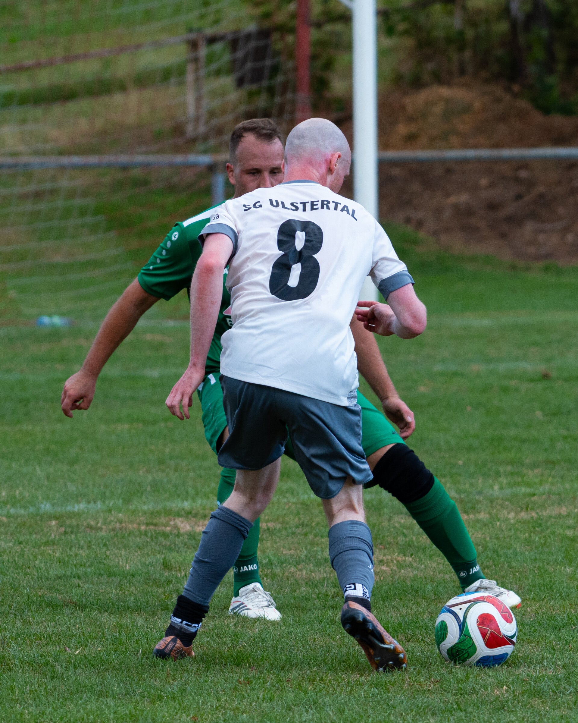 _dsc2929-standard-nzetay.jpg