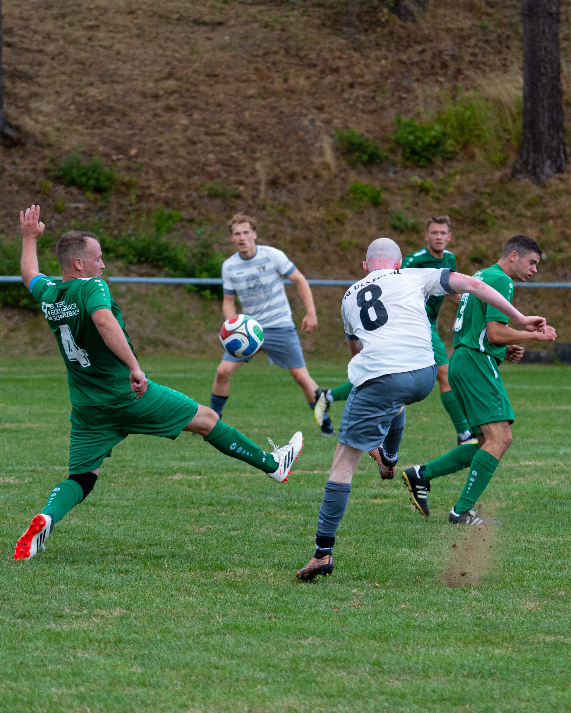 _dsc2931-standard-r3nz4o.jpg