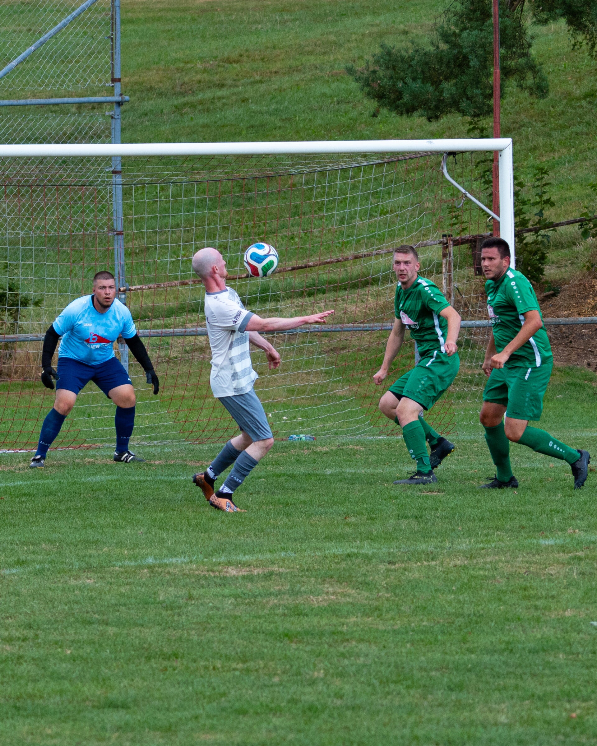 _dsc2957-standard-1ffu2y.jpg