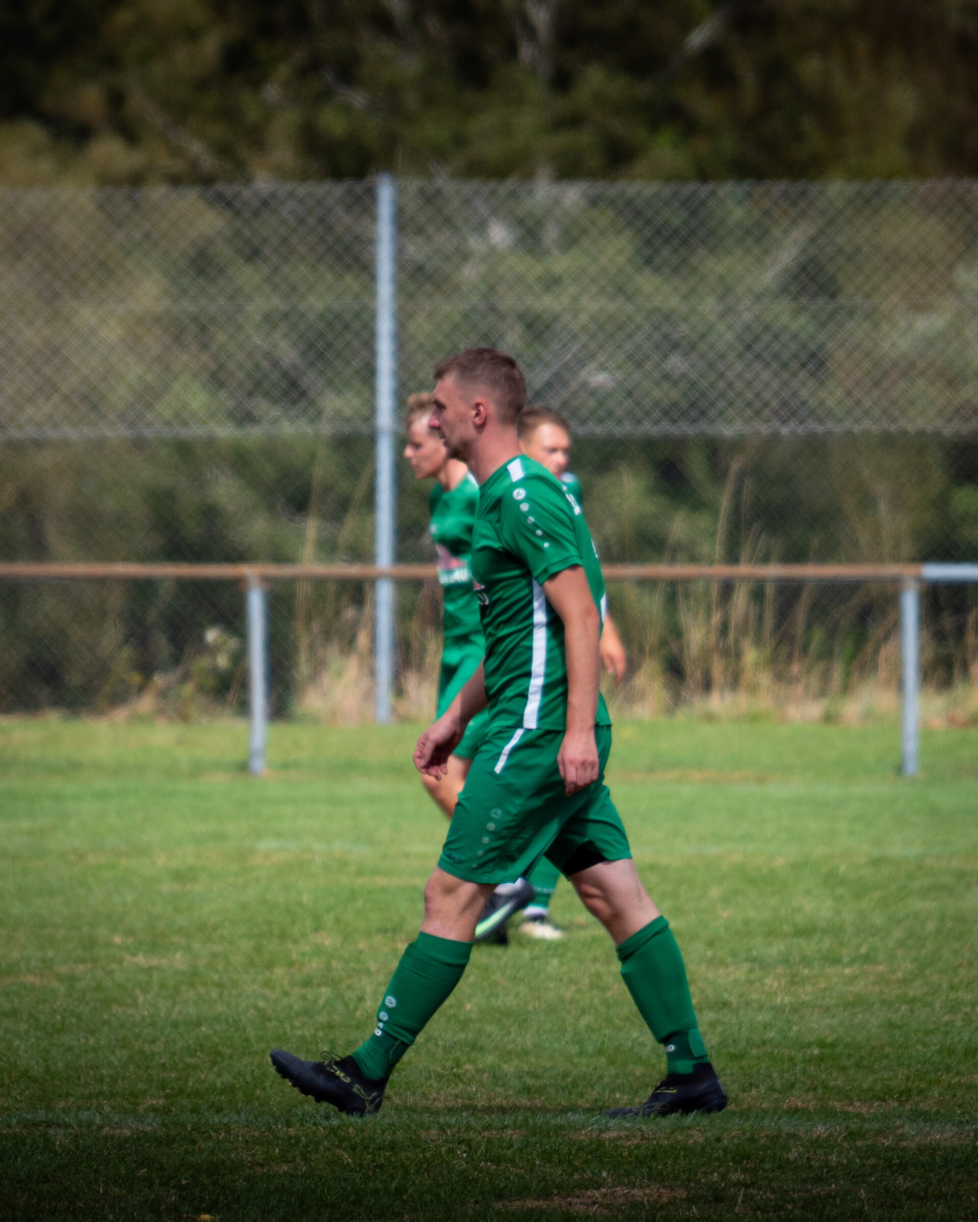 _dsc3018-standard-2r8h1x.jpg