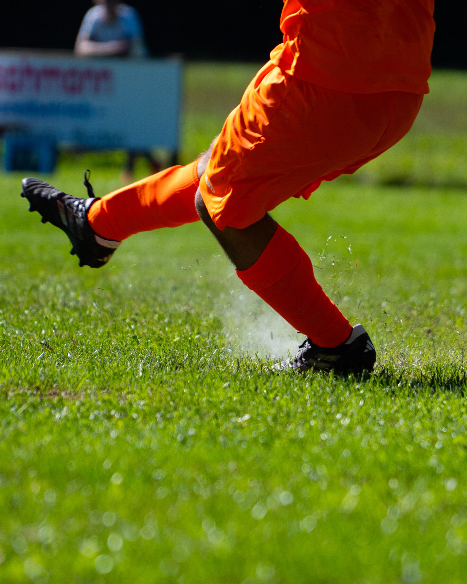 _dsc3316-standard.jpg