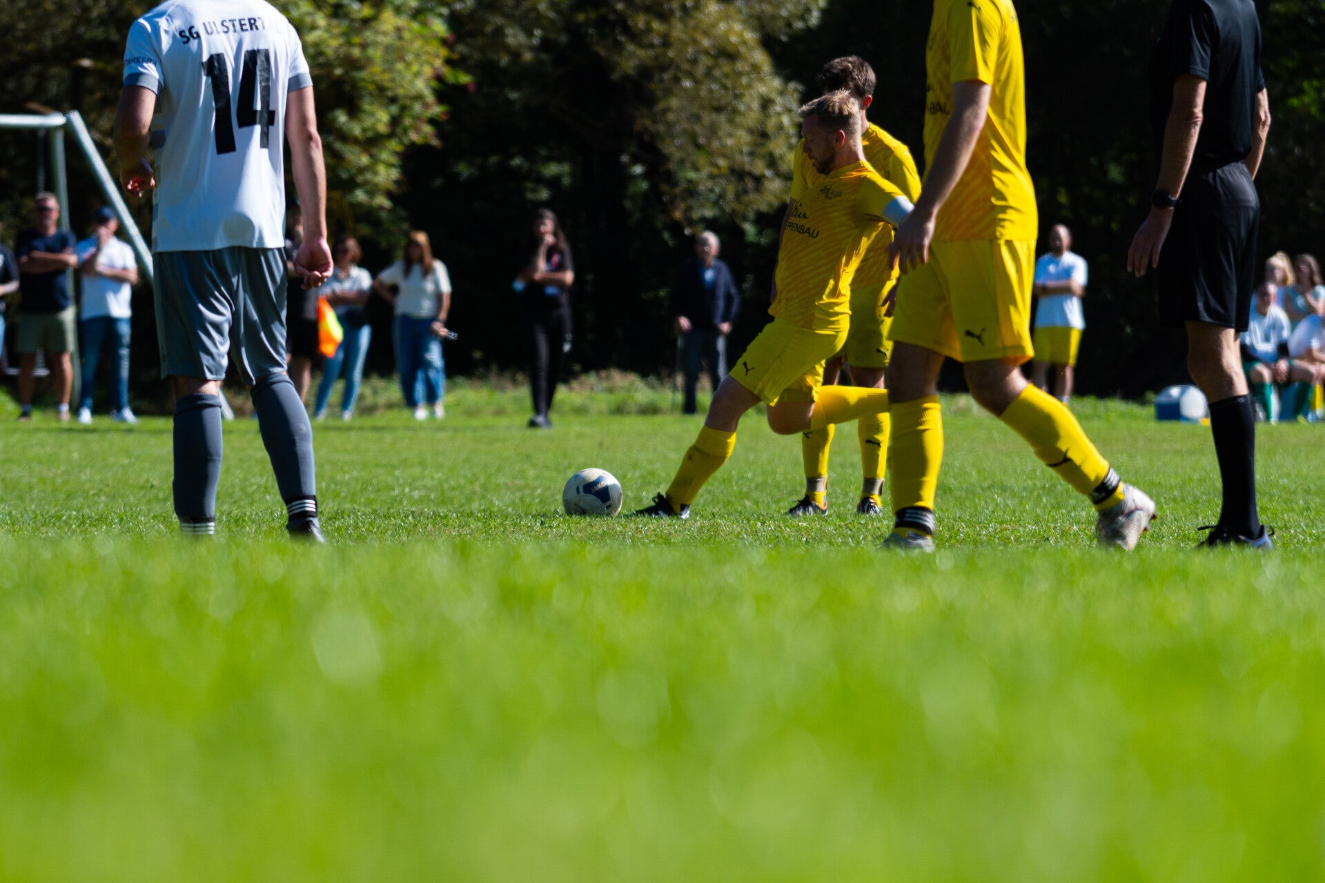 _dsc3335-standard.jpg