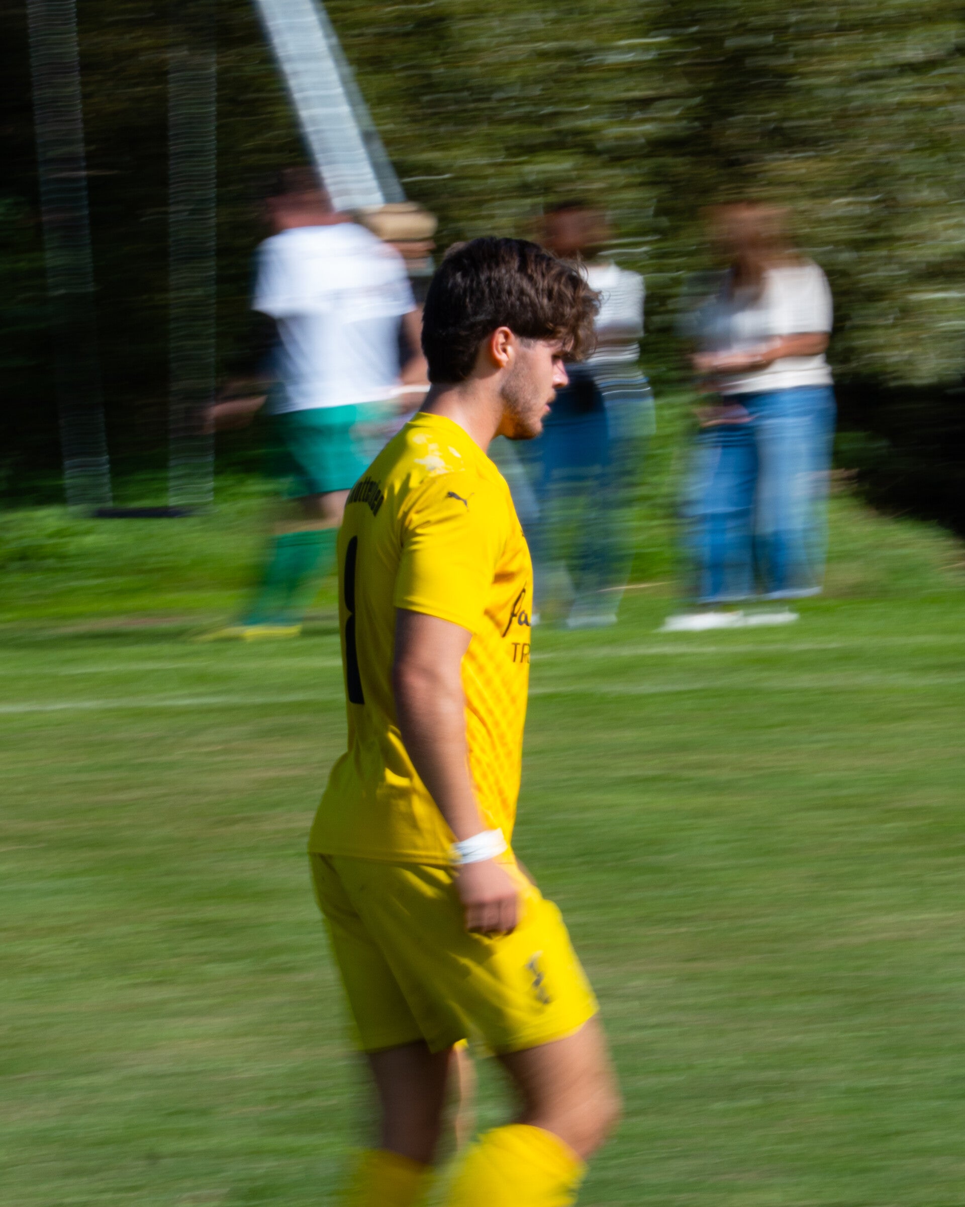 _dsc3384-standard.jpg