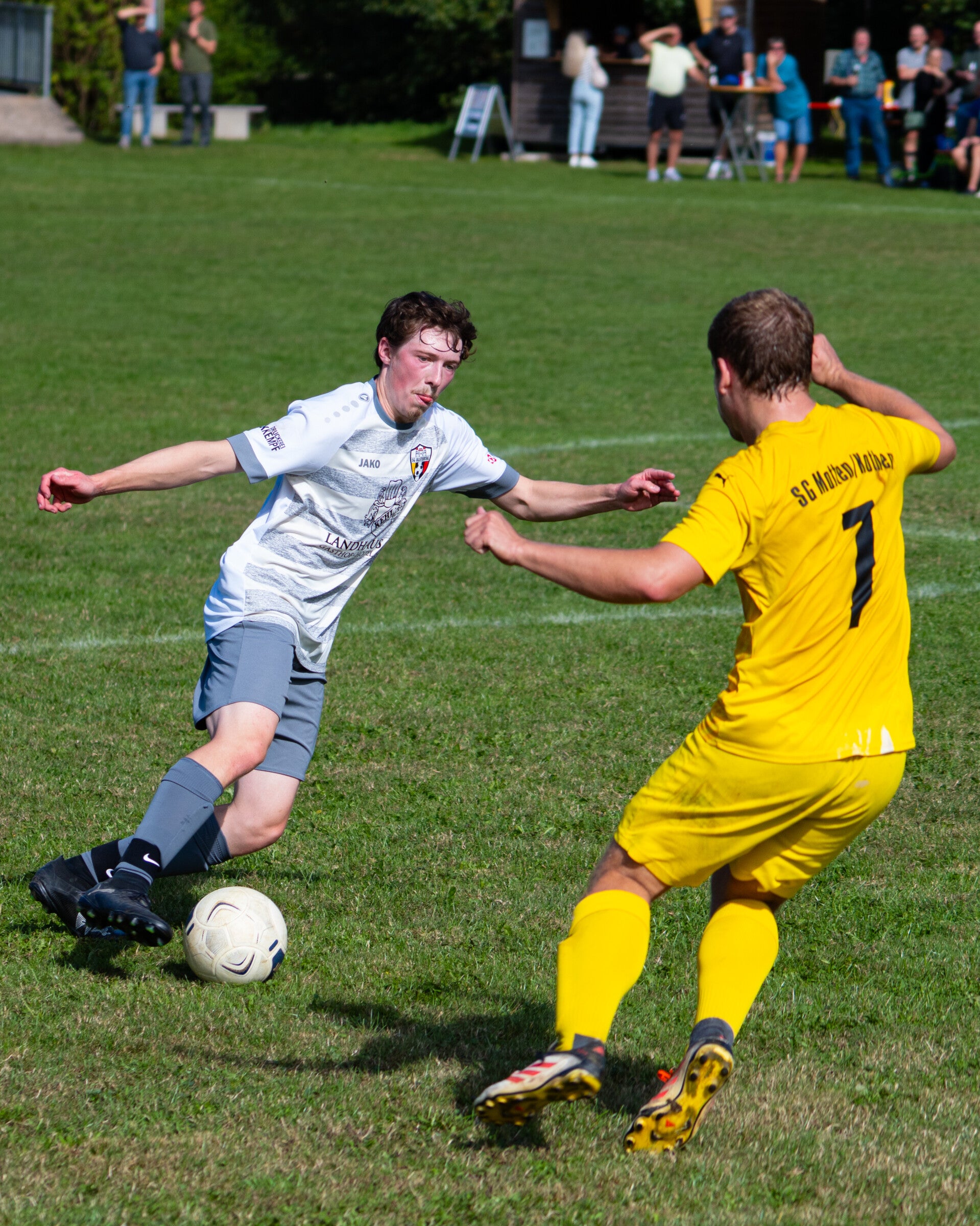 _dsc3426-standard.jpg