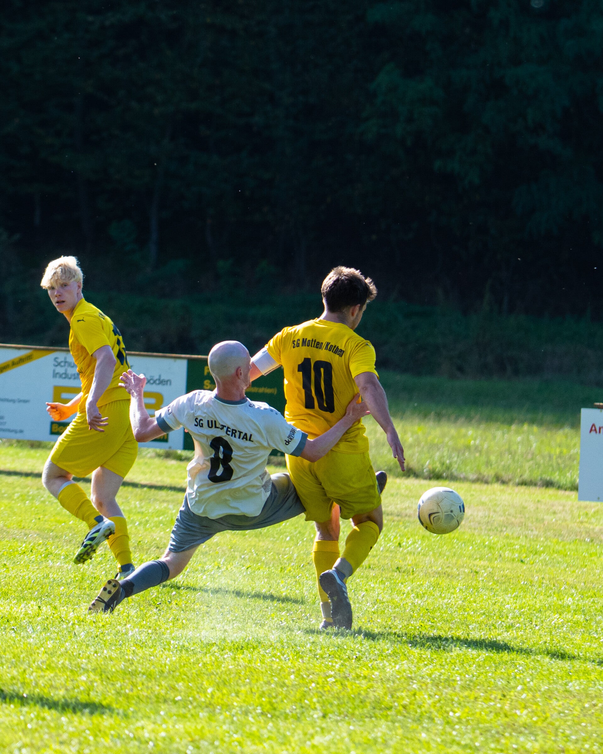 _dsc3677-standard.jpg