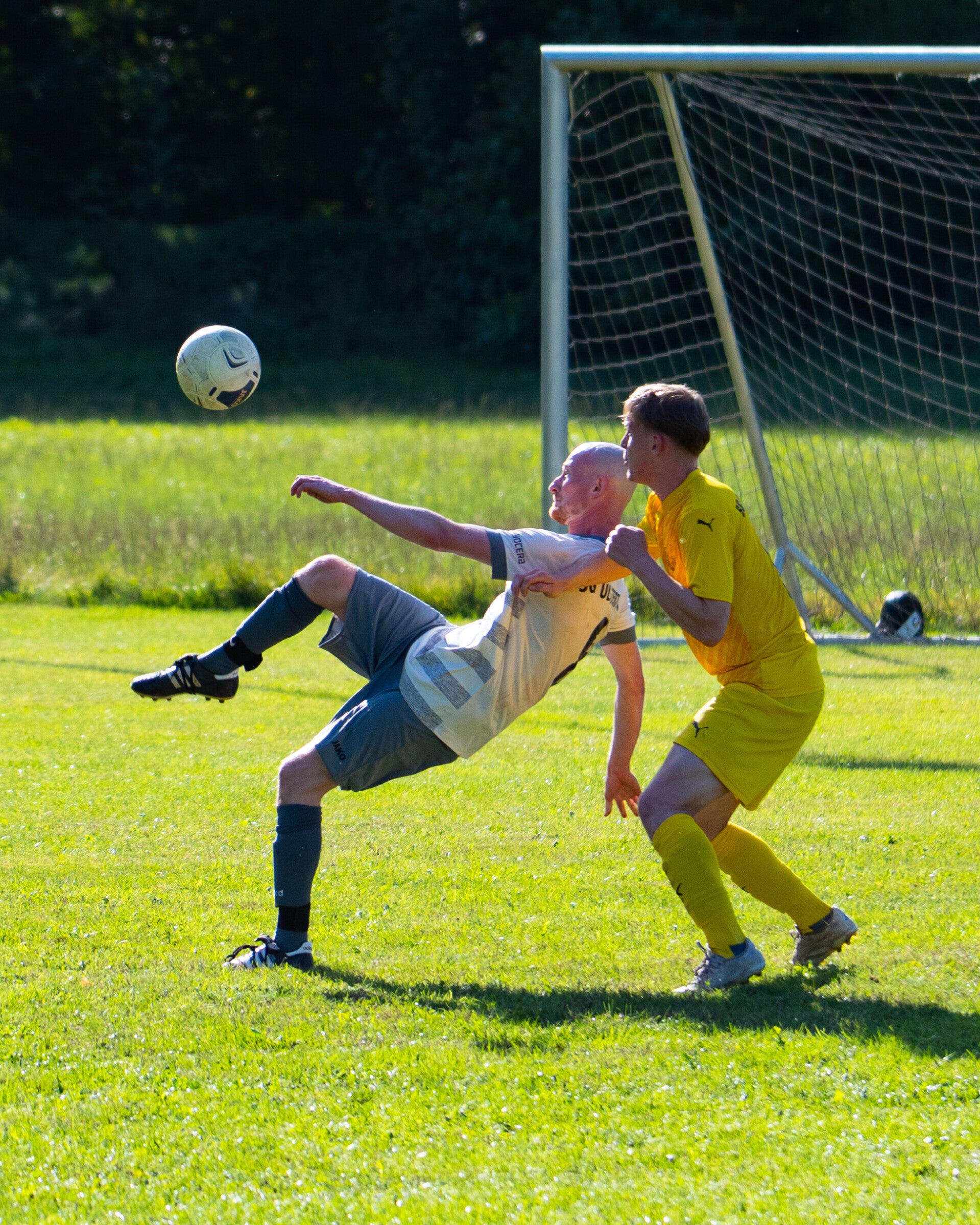 _dsc3828-standard.jpg